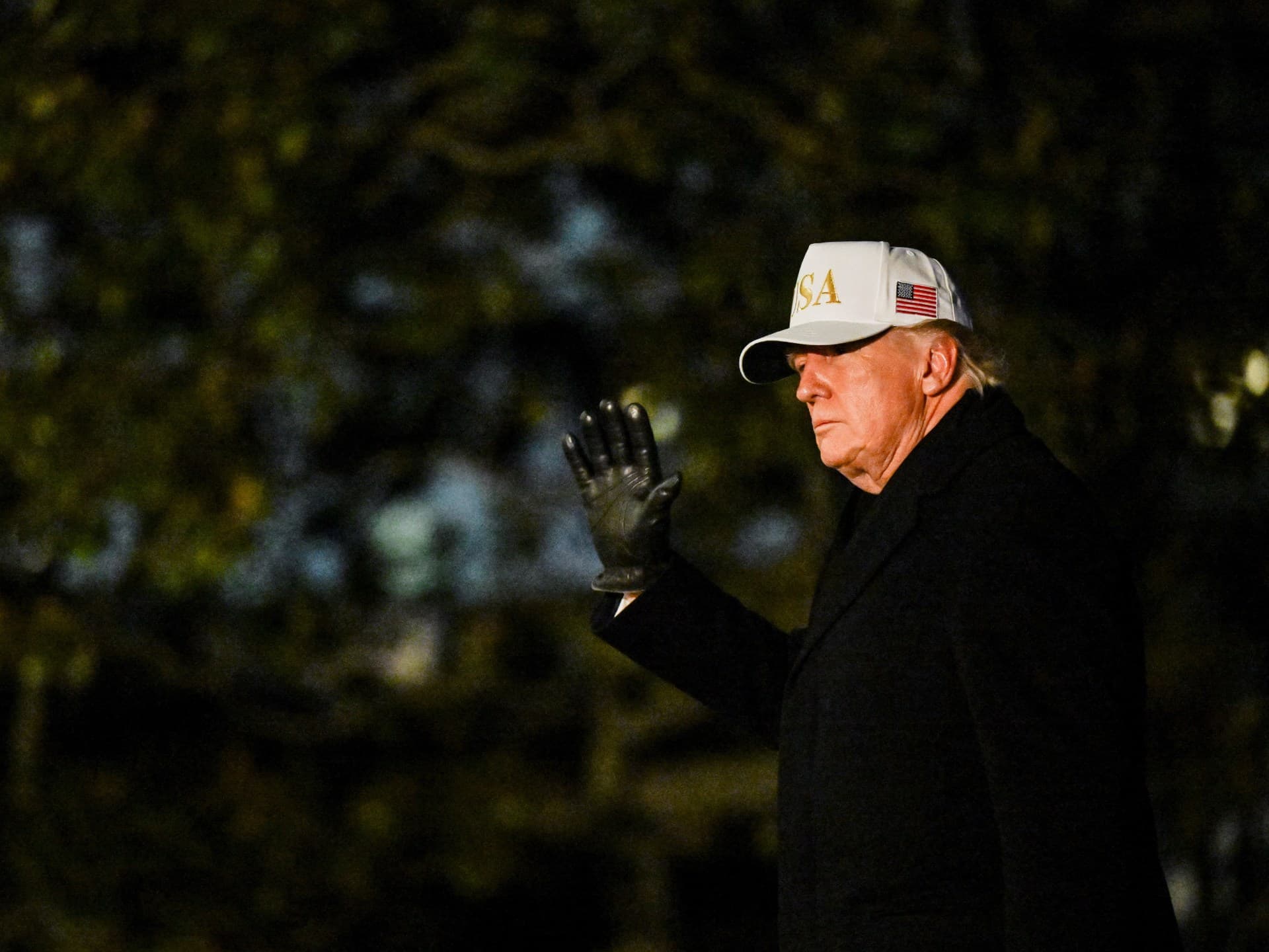 Trump's $12B Strategic Minerals Push: Market Freedom or State Overreach?