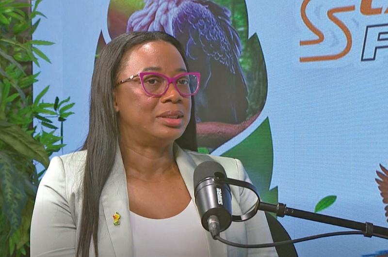 Guyanese Private Sector Urged to Claim Carbon Credit Billions